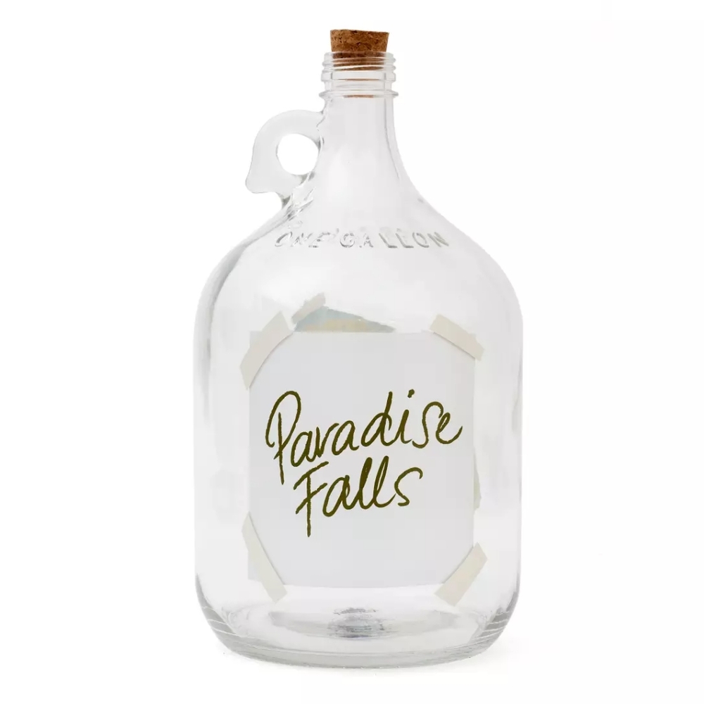 Paradise Falls Up Money Jar -Large NWT